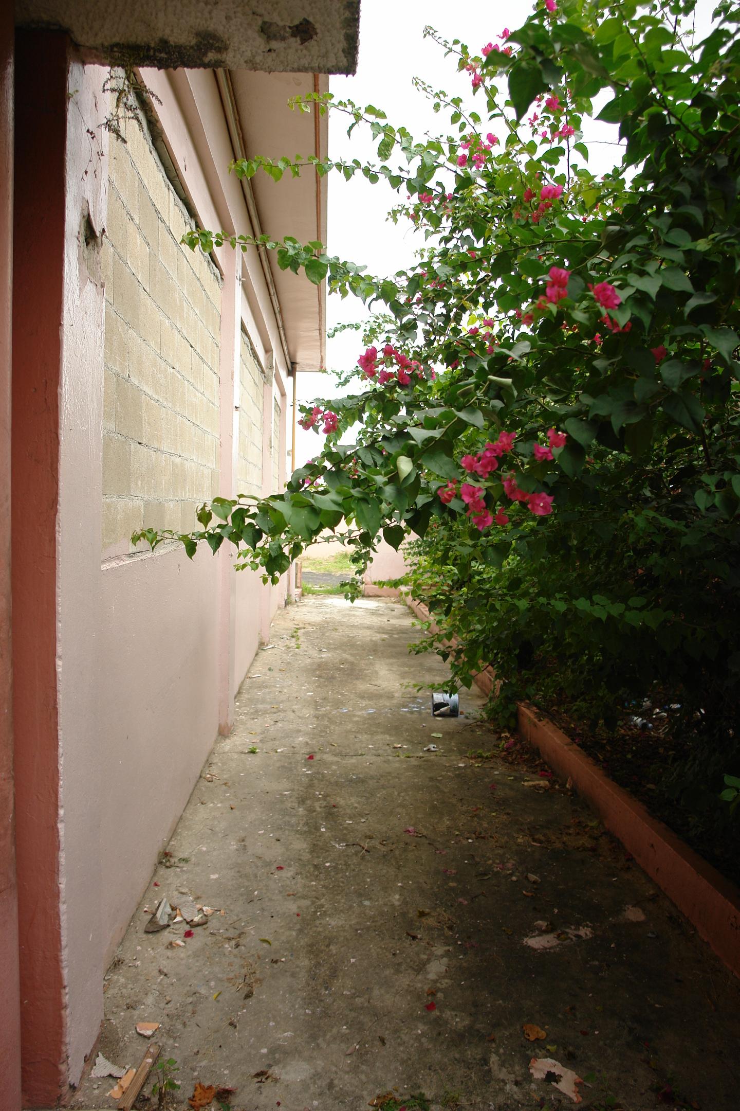 Colegio La Milagrosa - San Juan (Río Piedras) - 2011 00024